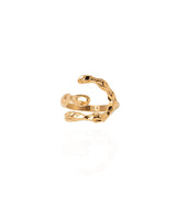 EIN3008 OVER HRINGUR GULL