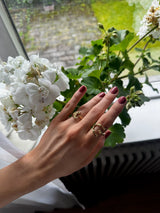 MAR2302 TAIL HRINGUR GULL