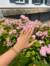 LÍV0701 ARMBAND GULL