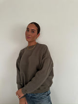 EIN3008 EYRNALOKKAR GULL