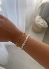 ARN1311 ARMBAND GULL