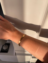 MAR2302 ARMBAND GULL