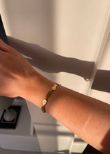 MAR2302 ARMBAND GULL