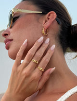 MOA1908 EYRNALOKKAR GULL