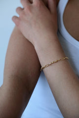 LOGI0612 ARMBAND GULL