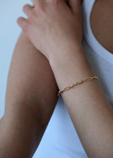 LOGI0612 ARMBAND GULL
