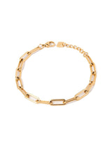 ARN1311 ARMBAND GULL