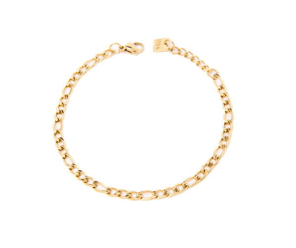 ERN1501 ARMBAND GULL 