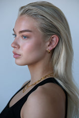 EIN3008 EYRNALOKKAR GULL