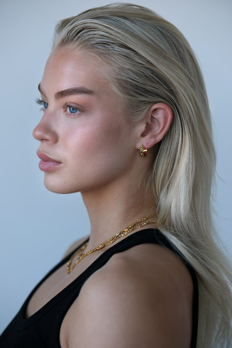 EIN3008 EYRNALOKKAR GULL