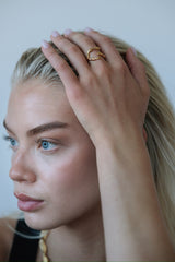 EIN3008 OVER HRINGUR GULL 