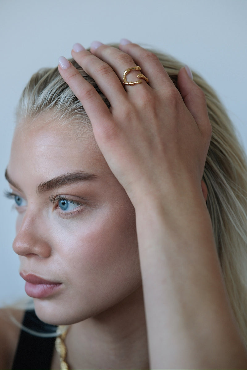 EIN3008 OVER HRINGUR GULL 