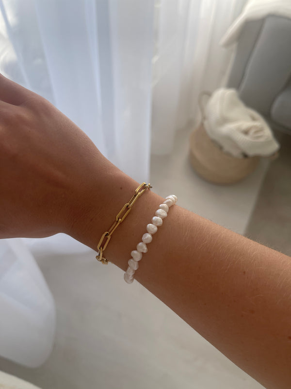 ARN1311 ARMBAND GULL 