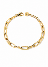 ARN1311 ARMBAND GULL 