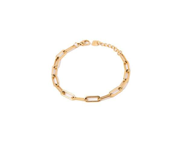 ARN1311 ARMBAND GULL 